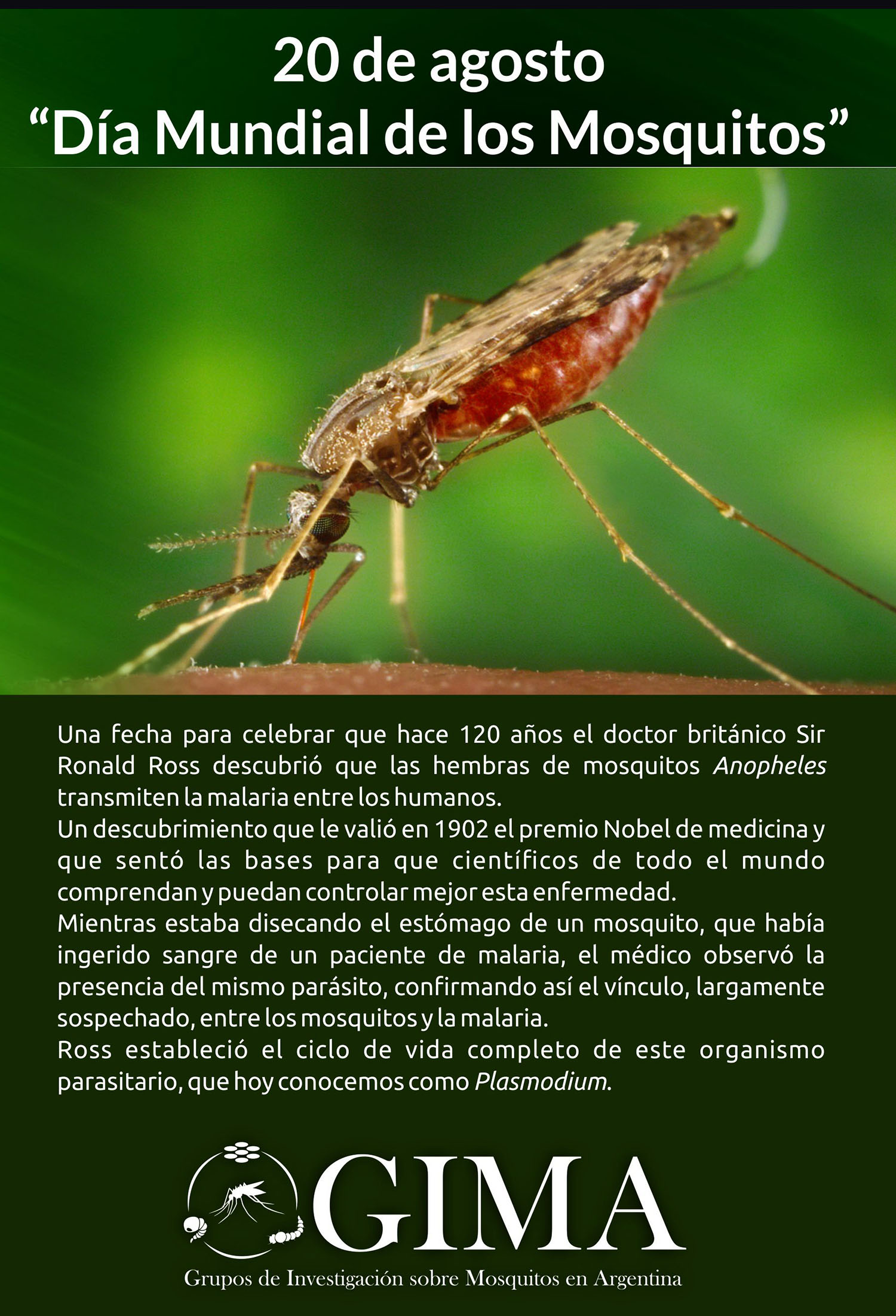 Día Mundial del Mosquito